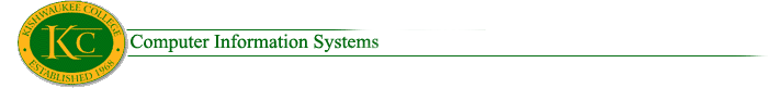 Computer Information Systems