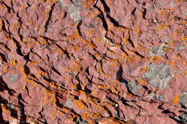 Rock and lichen, Many Glacier Hotel