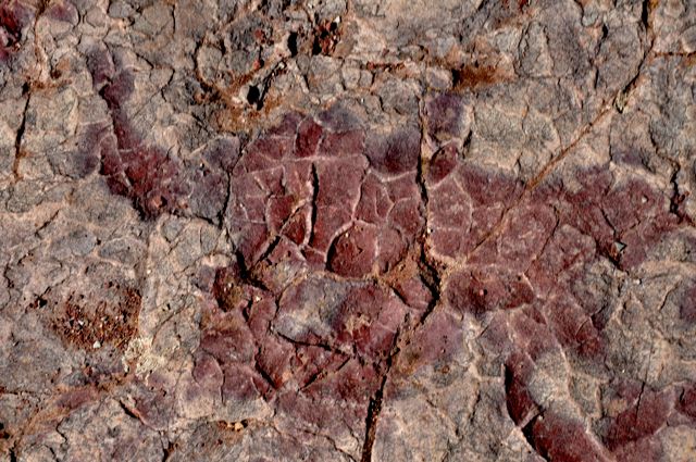 Cracked mud preserved in stone, Red Rock Canyon