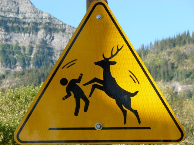 Graphic deer warning