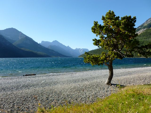 Upper Waterton Lake from townsite path