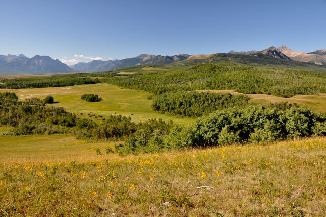 Edge of the prairie, Alberta