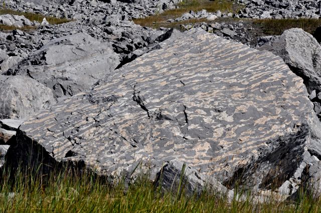 Rock from huge rockslide